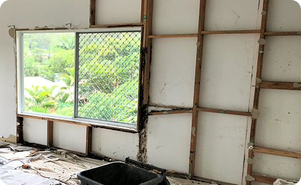 Termite Damage: How to Spot It and What Repair Involves